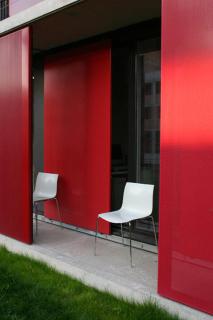 Felsennelkenanger - 3