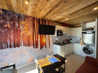 Studio pied des pistes Pyrenees 2000 - 9