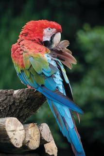 Suite 14 - Sleeping Giant Hotel - Pen Y Cae Inn - 8