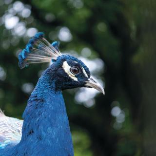 Suite 15 - Sleeping Giant Hotel - Pen Y Cae Inn - 7