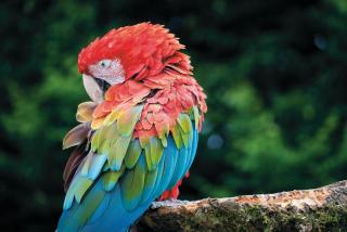 Suite 3 - Sleeping Giant Hotel - Pen Y Cae Inn - 8