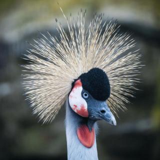 Suite 11 - Sleeping Giant Hotel - Pen Y Cae Inn - 4