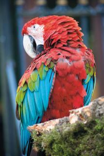 Suite 8 - Sleeping Giant Hotel - Pen Y Cae Inn - 8