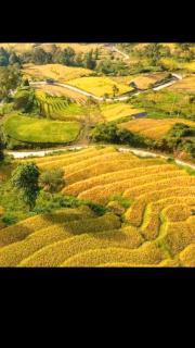 Sapa Tatu Homestay - 1