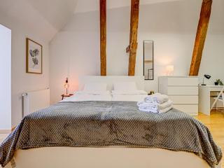 Spacious Loft for 8, Heart of Old Riga - 2