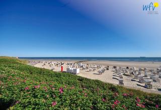 Haus Panorama Ferienwohnung Strandkieker - Wangerooge - 4
