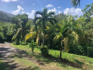 Appartement moderne à Rivière-Pilote, 80 m², jardin - 2