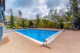 Scandinavian Lodge 203 - 6