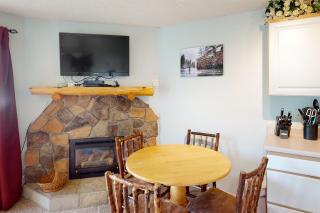 Scandinavian Lodge 203 - 3