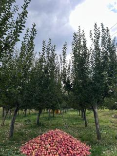 The Mool Farm and Living - 5