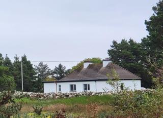 Cheerful and spacious 4-bedroom Cottage - 3