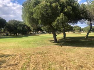 Cortijo villa with a pool and golf - 6