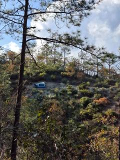 Ogachi Mini Glamp -  - 5