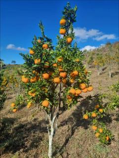 Sítio dos Lagos - 7