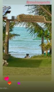 Parador Algaroba - 0