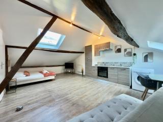 Studio 12 charmant Av Garibaldi - DABNB - 3