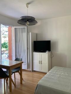 Studio classé 2 étoiles à 5 minutes du centre ville et 10 des Thermes - 9