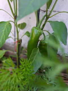 Conforto e Praticidade - 3