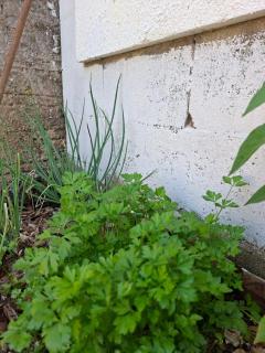 Conforto e Praticidade - 4