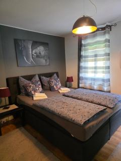 Modernes 3 Zimmer Apartment im Jugendstilhaus - 4