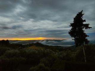 Agriturismo Bruscola - 2