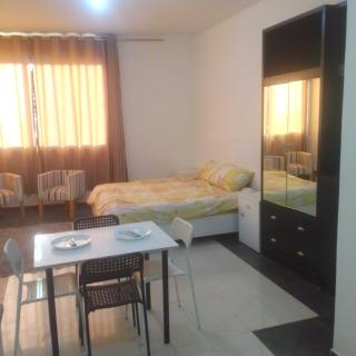 Wadi assayr rose - 7