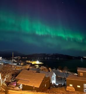 Hjem i Senja - 0