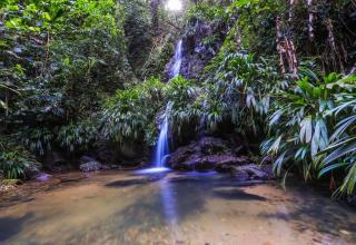 Xanadu - Parlatuvier - 3