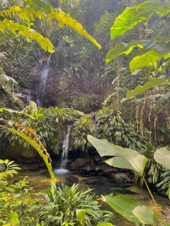 Xanadu - Parlatuvier - 4