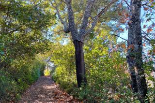 Ca' Magüi by SIERRA VIVA - 8