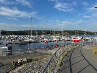 Bright and modern studio with a great location - 3