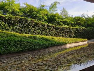 วีรันดา - 5