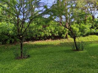 วีรันดา - 3