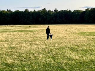 Luxurious 4 Bed Property Chiltern Hills - 7