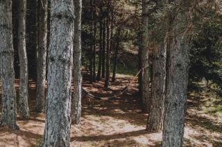Casale Cantalena - 2
