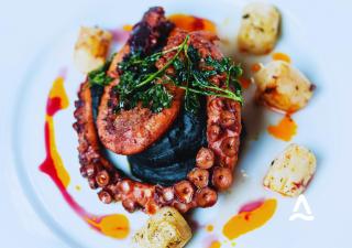 Almasur Punta Arenas - 8