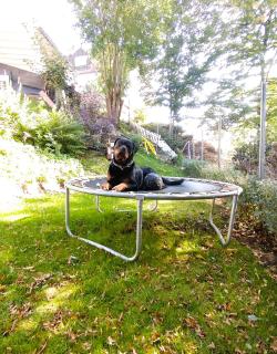 HeikenBergs Ferienhaus - 5