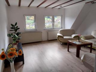 Waldblick in Hirschhorn - 9