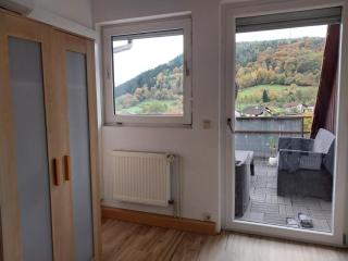 Waldblick in Hirschhorn - 4