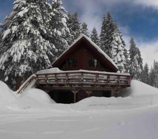 Little Bear Lodge - 7