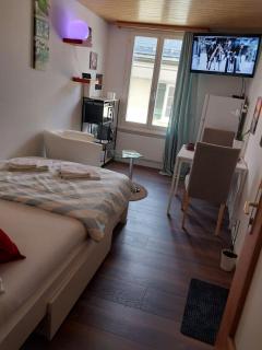 Studio near Appenzell - 8