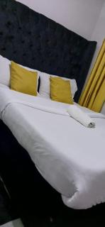 Skypearl urban nest close proximity to JKIA - 1