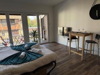 Studio lumineux avec terrasse - 7