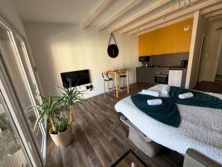 Studio lumineux avec terrasse - 4