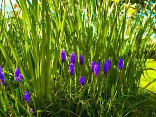 L'appartement tranquillité - 9