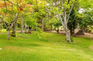Oceanfront Treehouse at Hakalau with Kitchen - 6