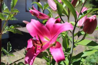 Cabaña 2 Dos Laureles - 7