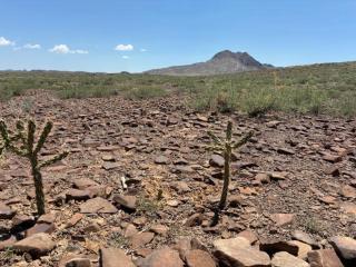 Cabin at the Hill, Close to Big Bend National Park and Terlingua Ghost Town - 5