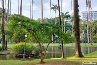 Apartamento Arejado - 8