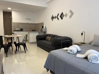 Departamento Centro Torre lago - 1